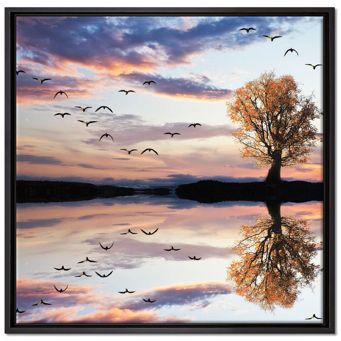 Baum spiegelt sich im Wasser auf Leinwandbild Quadratisch gerahmt Größe 70x70