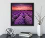 Wunderschöne Lavendel Provence  auf Leinwandbild Quadratisch gerahmt mit Kirschblüten