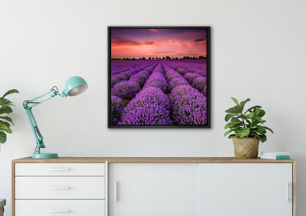 Wunderschöne Lavendel Provence auf Leinwandbild gerahmt Quadratisch verschiedene Größen im Wohnzimmer