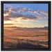 Getreidefeld im Abendlicht auf Leinwandbild Quadratisch gerahmt Größe 40x40