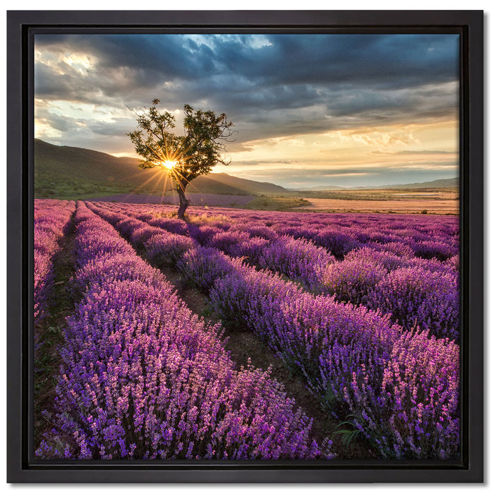 Lavendel Provence mit Baum auf Leinwandbild Quadratisch gerahmt Größe 40x40