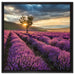 Lavendel Provence mit Baum auf Leinwandbild Quadratisch gerahmt Größe 60x60