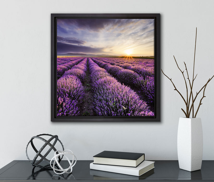 Traumhafte Lavendel Provence  auf Leinwandbild Quadratisch gerahmt mit Kirschblüten