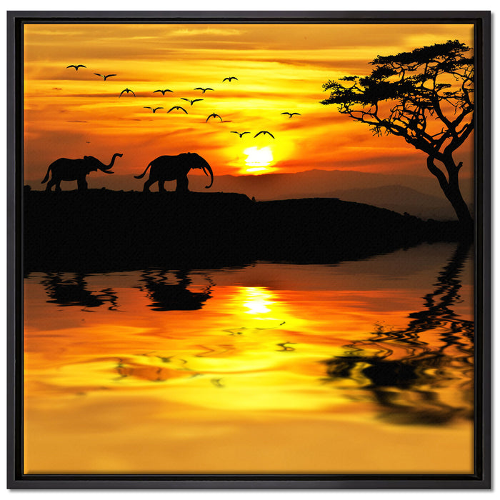 Elefanten in Afrikanischer Steppe auf Leinwandbild Quadratisch gerahmt Größe 70x70