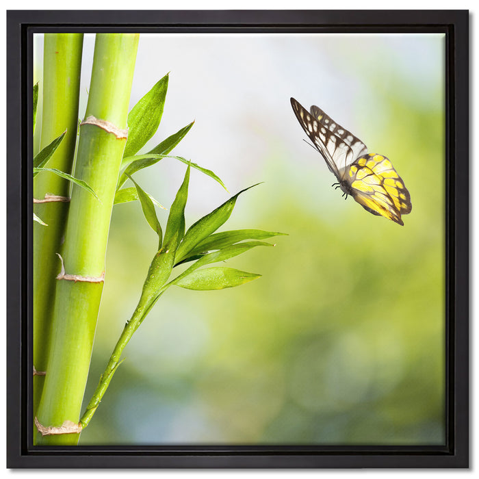 Bambus mit Schmetterling auf Leinwandbild Quadratisch gerahmt Größe 40x40