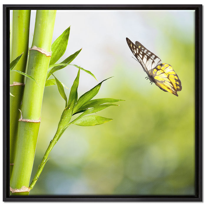 Bambus mit Schmetterling auf Leinwandbild Quadratisch gerahmt Größe 70x70
