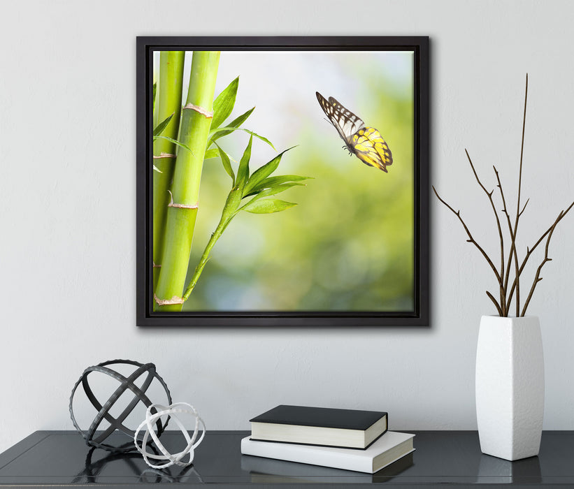Bambus mit Schmetterling  auf Leinwandbild Quadratisch gerahmt mit Kirschblüten