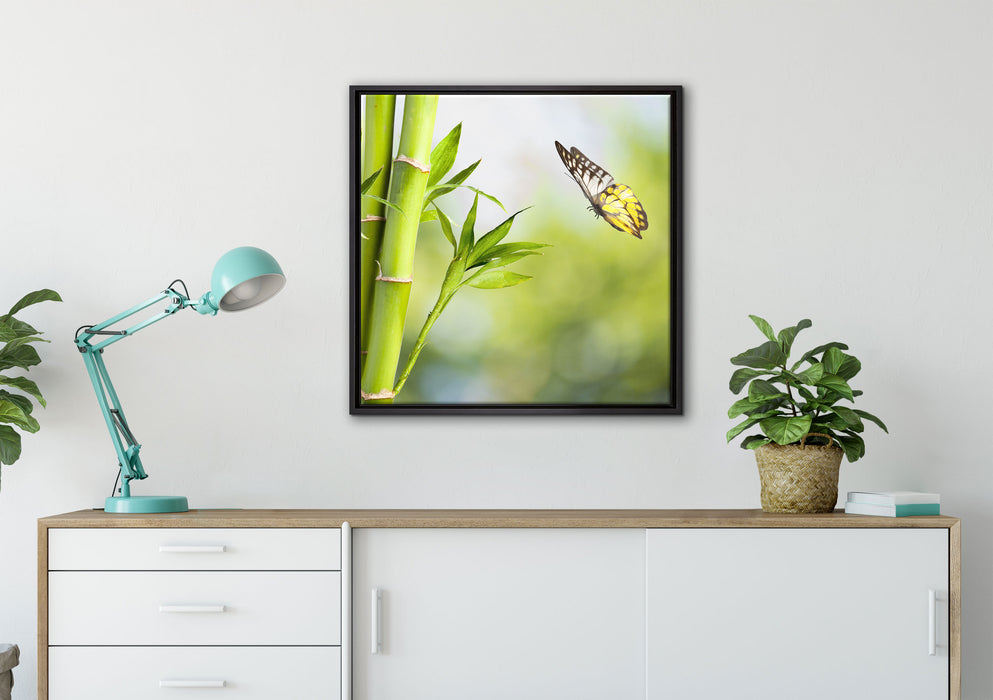 Bambus mit Schmetterling auf Leinwandbild gerahmt Quadratisch verschiedene Größen im Wohnzimmer