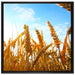 Getreide im Sonnenschein auf Leinwandbild Quadratisch gerahmt Größe 70x70