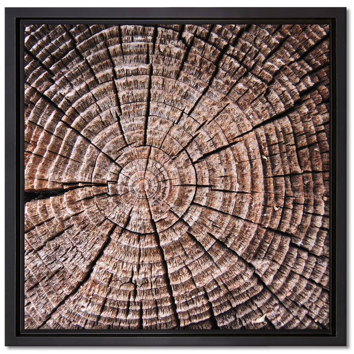 Baumstamm Jahresringe auf Leinwandbild Quadratisch gerahmt Größe 40x40