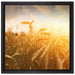 Getreide im Sonnenlicht auf Leinwandbild Quadratisch gerahmt Größe 40x40