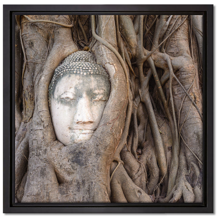 Buddha Kopf im Baum auf Leinwandbild Quadratisch gerahmt Größe 40x40