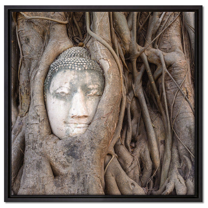 Buddha Kopf im Baum auf Leinwandbild Quadratisch gerahmt Größe 60x60