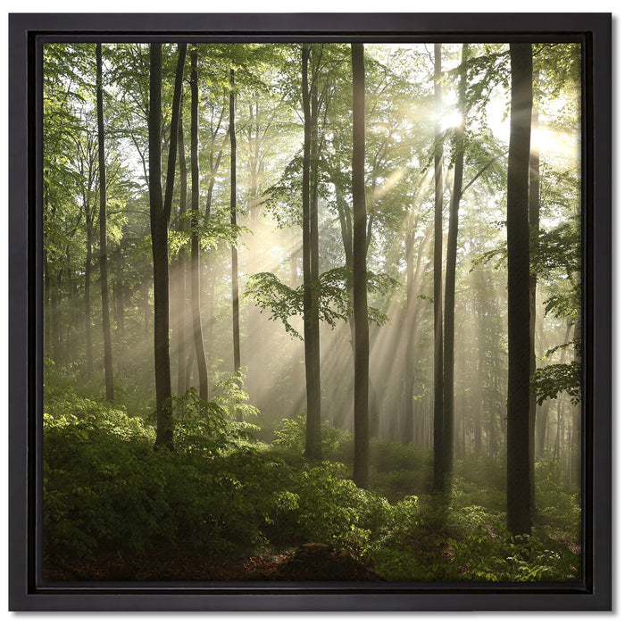 Sonnenstrahlen im Wald auf Leinwandbild Quadratisch gerahmt Größe 40x40