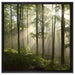 Sonnenstrahlen im Wald auf Leinwandbild Quadratisch gerahmt Größe 60x60