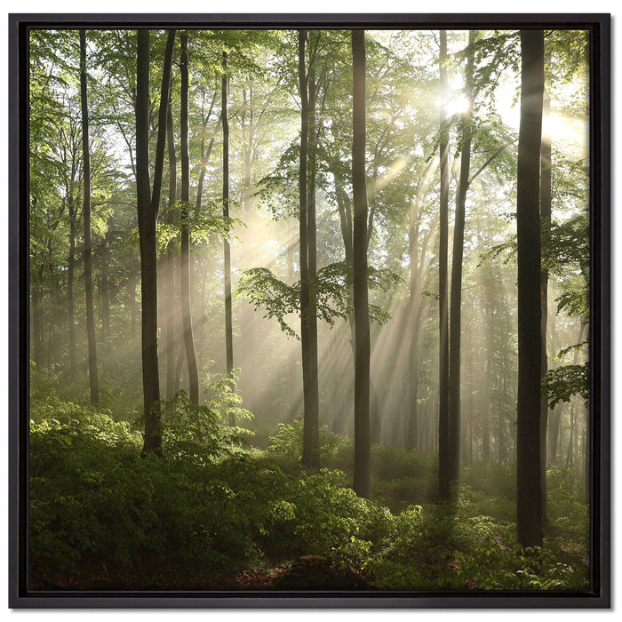 Sonnenstrahlen im Wald auf Leinwandbild Quadratisch gerahmt Größe 70x70