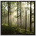 Sonnenstrahlen im Wald auf Leinwandbild Quadratisch gerahmt Größe 70x70