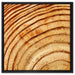 Baumstamm Holzringe auf Leinwandbild Quadratisch gerahmt Größe 60x60
