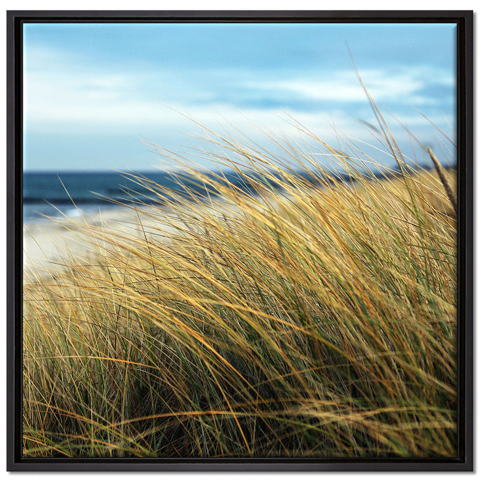 Schilf Gras am Ufer auf Leinwandbild Quadratisch gerahmt Größe 70x70