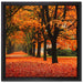Baumallee im Herbst auf Leinwandbild Quadratisch gerahmt Größe 40x40