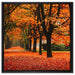 Baumallee im Herbst auf Leinwandbild Quadratisch gerahmt Größe 60x60