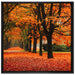 Baumallee im Herbst auf Leinwandbild Quadratisch gerahmt Größe 70x70
