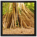 Mächtiger Urwald Baum auf Leinwandbild Quadratisch gerahmt Größe 40x40