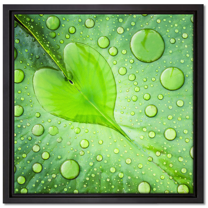 Herz aus Tautropfen Blatt auf Leinwandbild Quadratisch gerahmt Größe 40x40