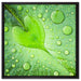 Herz aus Tautropfen Blatt auf Leinwandbild Quadratisch gerahmt Größe 60x60