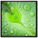 Herz aus Tautropfen Blatt auf Leinwandbild Quadratisch gerahmt Größe 70x70