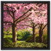 Rosa blühende Kirschbäume auf Leinwandbild Quadratisch gerahmt Größe 40x40