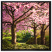Rosa blühende Kirschbäume auf Leinwandbild Quadratisch gerahmt Größe 70x70