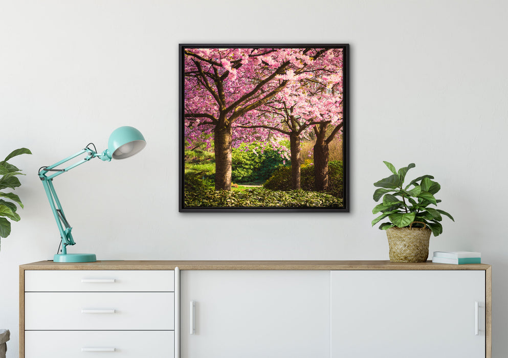 Rosa blühende Kirschbäume auf Leinwandbild gerahmt Quadratisch verschiedene Größen im Wohnzimmer