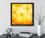 Pusteblumen oranges Licht  auf Leinwandbild Quadratisch gerahmt mit Kirschblüten
