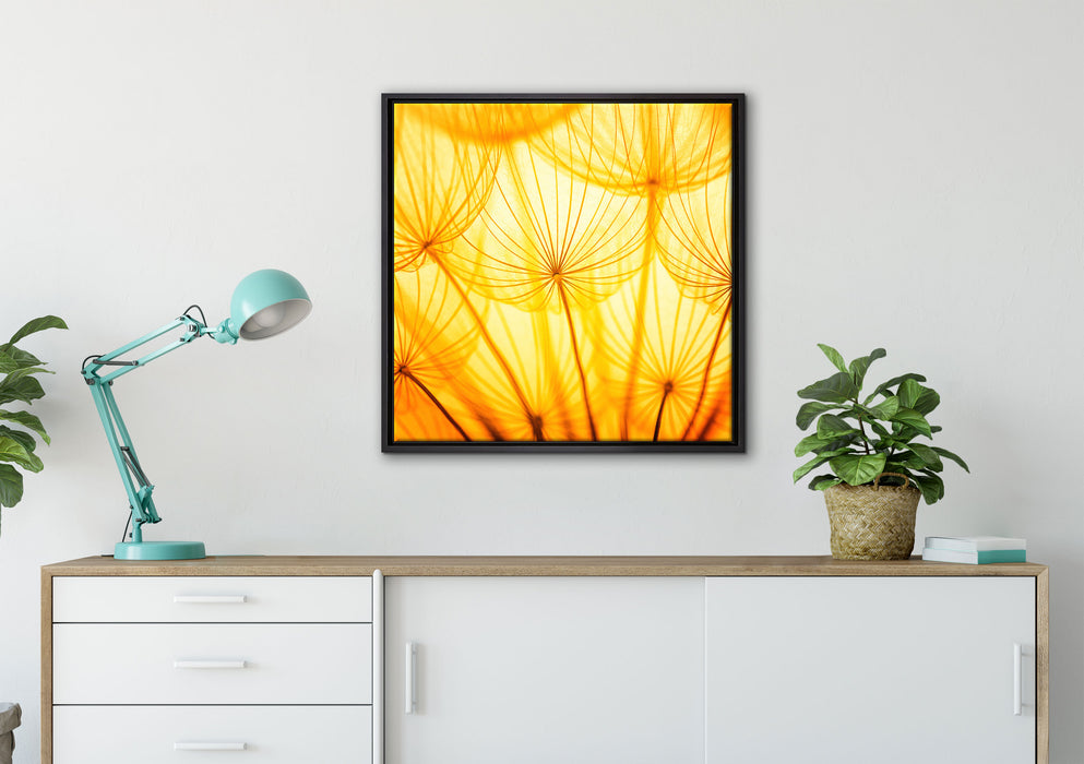 Pusteblumen oranges Licht auf Leinwandbild gerahmt Quadratisch verschiedene Größen im Wohnzimmer