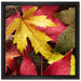 Bunte Herbstblätter auf Leinwandbild Quadratisch gerahmt Größe 40x40