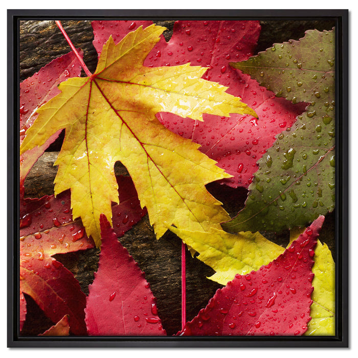 Bunte Herbstblätter auf Leinwandbild Quadratisch gerahmt Größe 60x60