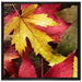 Bunte Herbstblätter auf Leinwandbild Quadratisch gerahmt Größe 70x70