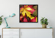Bunte Herbstblätter auf Leinwandbild gerahmt Quadratisch verschiedene Größen im Wohnzimmer