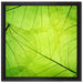 Wunderschöne Zarte grüne Blätter auf Leinwandbild Quadratisch gerahmt Größe 40x40