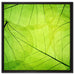 Wunderschöne Zarte grüne Blätter auf Leinwandbild Quadratisch gerahmt Größe 60x60
