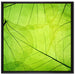 Wunderschöne Zarte grüne Blätter auf Leinwandbild Quadratisch gerahmt Größe 70x70