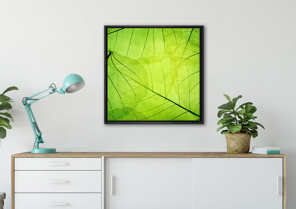 Wunderschöne Zarte grüne Blätter auf Leinwandbild gerahmt Quadratisch verschiedene Größen im Wohnzimmer