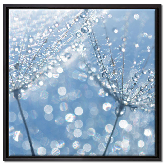 Tau auf Schirmfliegern auf Leinwandbild Quadratisch gerahmt Größe 60x60