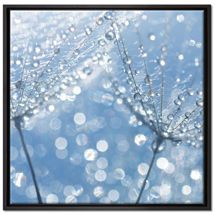 Tau auf Schirmfliegern auf Leinwandbild Quadratisch gerahmt Größe 70x70