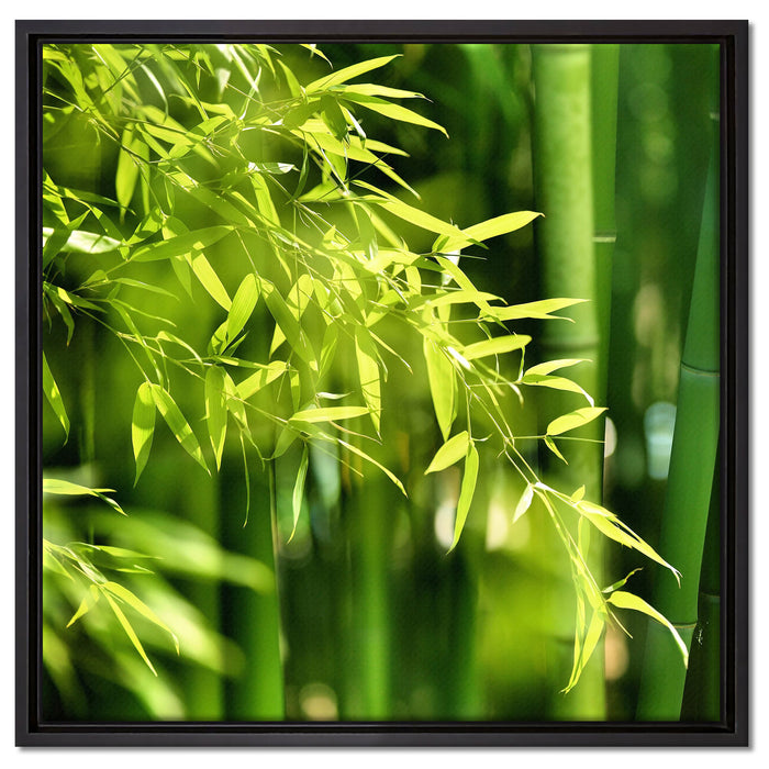 Bambus mit Blättern auf Leinwandbild Quadratisch gerahmt Größe 60x60