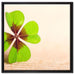Glücks Kleeblatt mit 4 Blättern auf Leinwandbild Quadratisch gerahmt Größe 60x60