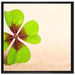 Glücks Kleeblatt mit 4 Blättern auf Leinwandbild Quadratisch gerahmt Größe 70x70