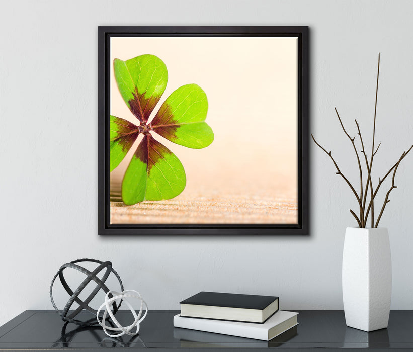 Glücks Kleeblatt mit 4 Blättern  auf Leinwandbild Quadratisch gerahmt mit Kirschblüten