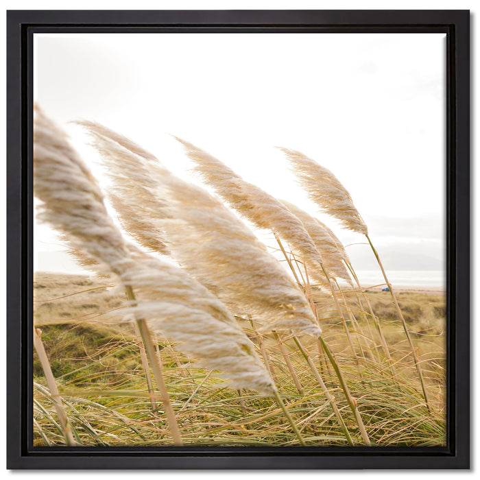 Schönes Schilf in den Dünen auf Leinwandbild Quadratisch gerahmt Größe 40x40